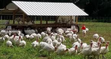 https://beaverbrookranch.com/wp-content/uploads/2020/06/turkey-hut.png